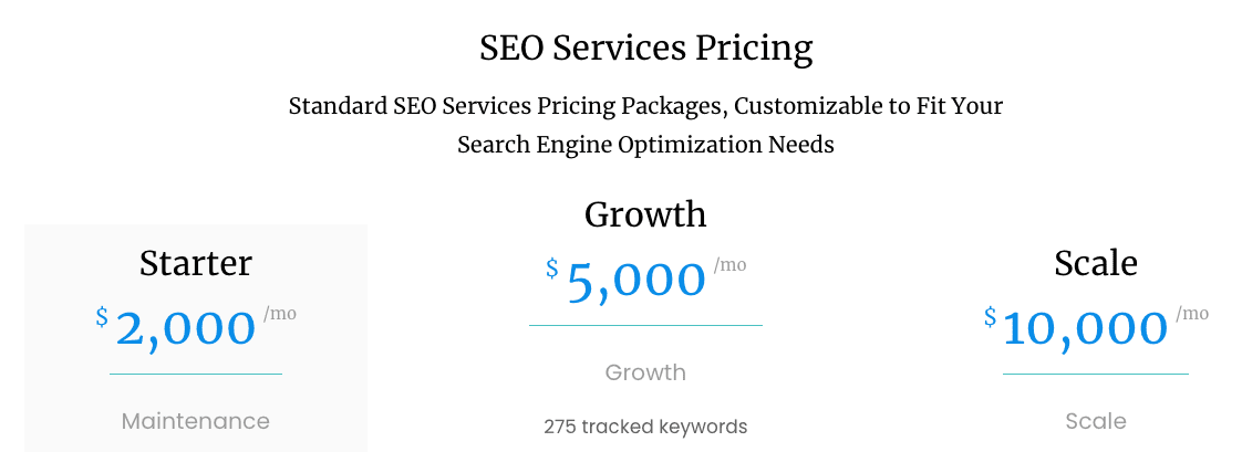 seo-pricing-and-service-options-.png