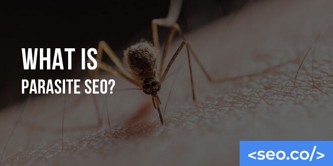 What Is Parasite SEO?